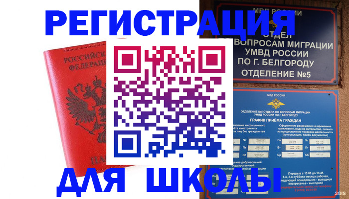 форма 3 в Светлогорске